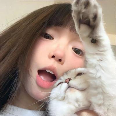 泡芙小姐第四季